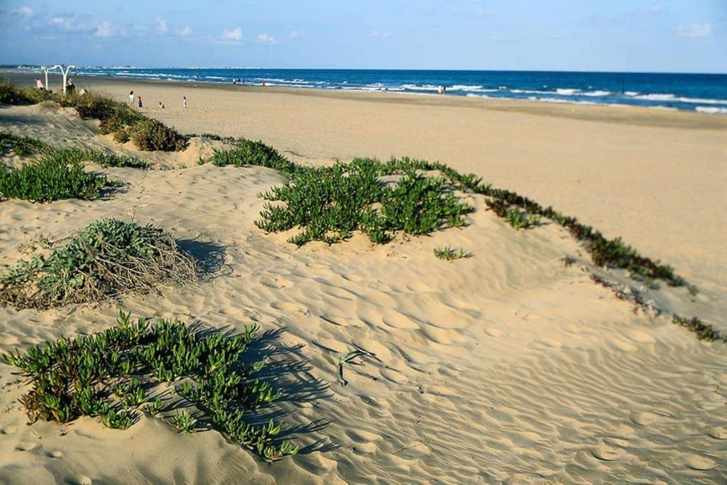 Apartamento en playa Canet de Berenguer Canet d'En Berenguer Bagian luar foto